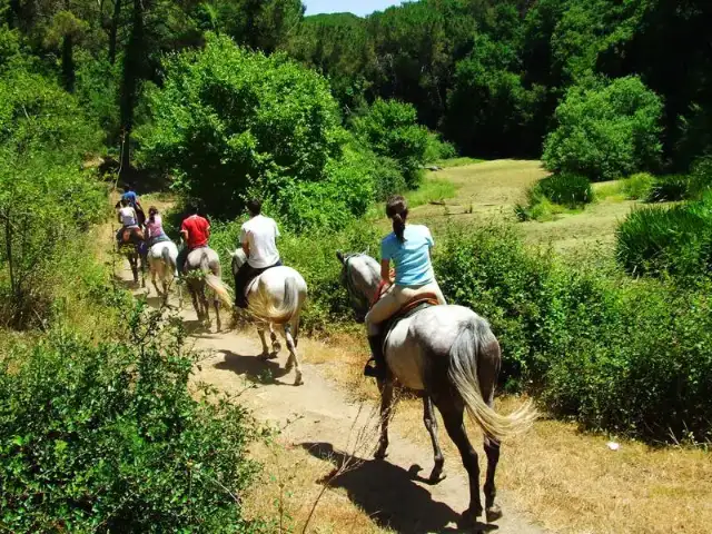 Activités dans les Pyrénées