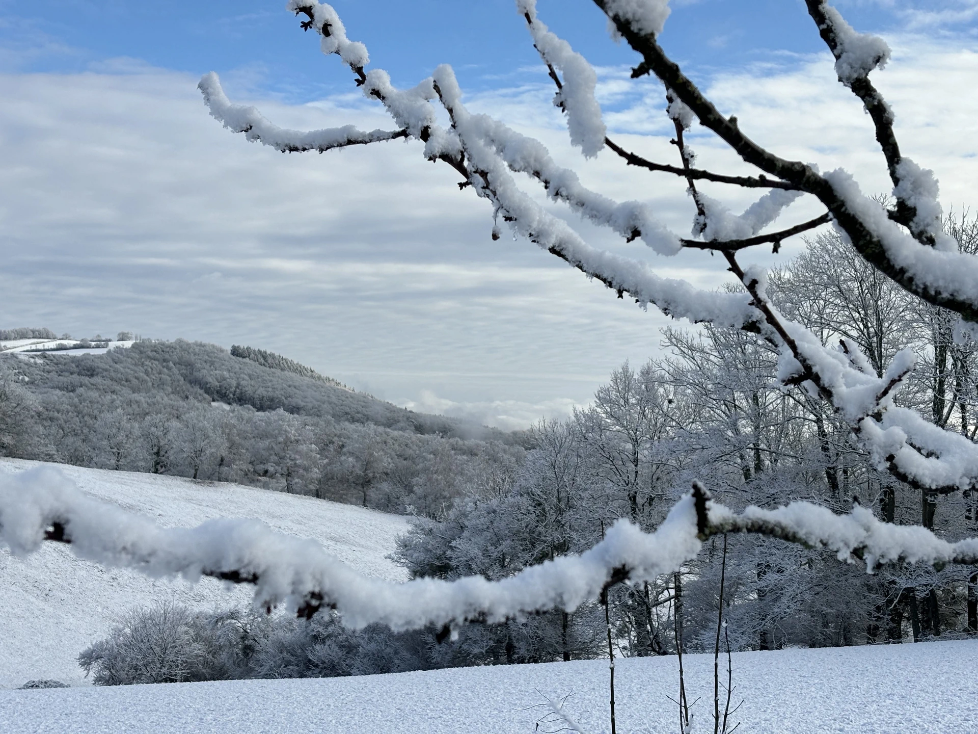 Gîte de montagne 9