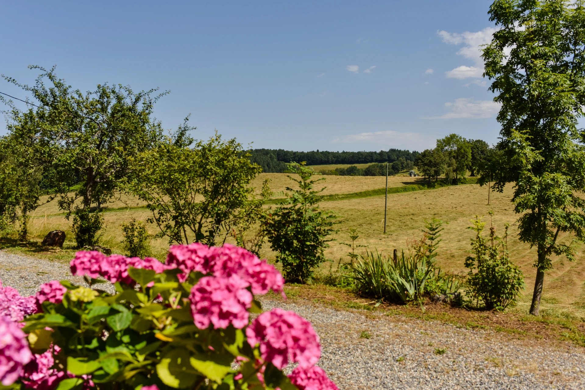 Grand gîte en Ariège 4