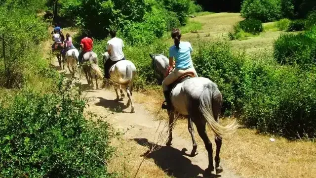 Les Crins en Soi - Balades à cheval