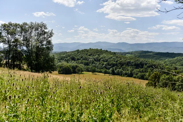 vue campagne