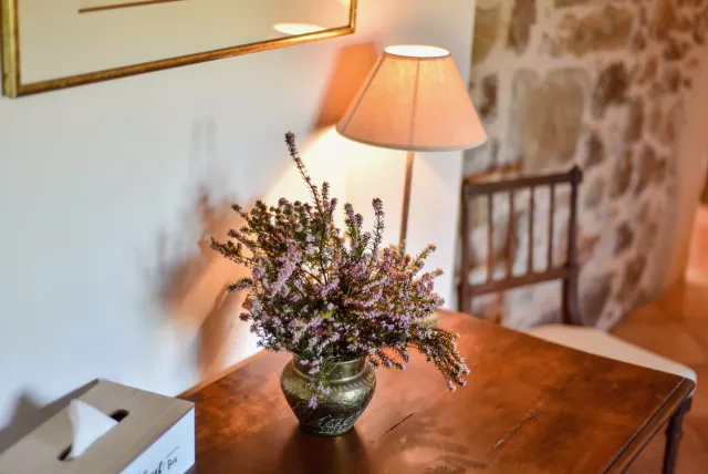 chambre Pic du Maubermé
