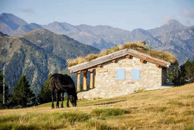 Gîte de Peyrefitte